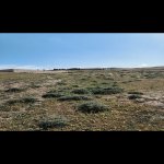 Satılır Torpaq, Məhəmmədli, Abşeron rayonu 8
