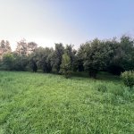 Satılır 3 otaqlı Həyət evi/villa Balakən 1