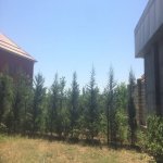 Kirayə (günlük) 4 otaqlı Həyət evi/villa Lənkəran 15