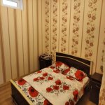 Kirayə (aylıq) 3 otaqlı Həyət evi/villa Qəbələ 9