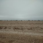 Satılır Torpaq Xızı 5