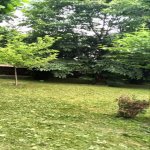 Kirayə (günlük) 3 otaqlı Həyət evi/villa Qəbələ 13