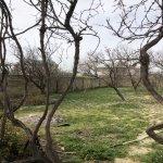 Satılır Torpaq, Saray, Abşeron rayonu 13