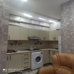 Kirayə (günlük) 2 otaqlı Yeni Tikili, 28 May metrosu, Nəsimi rayonu 5
