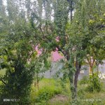 Kirayə (günlük) 3 otaqlı Həyət evi/villa İsmayıllı 4