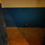 Satılır Obyekt, Nizami metrosu, Yasamal rayonu 12