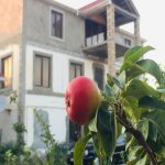 Satılır 8 otaqlı Həyət evi/villa, Mərdəkan, Xəzər rayonu 18