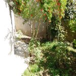 Satılır 5 otaqlı Həyət evi/villa, Badamdar qəs., Səbail rayonu 16