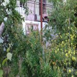Satılır 3 otaqlı Həyət evi/villa, Zığ qəs., Suraxanı rayonu 14