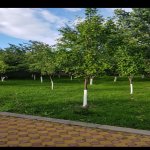 Satılır 7 otaqlı Həyət evi/villa Qusar 9