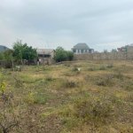 Satılır Torpaq, Novxanı, Abşeron rayonu 5
