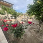 Satılır 4 otaqlı Həyət evi/villa, Binəqədi qəs., Binəqədi rayonu 7