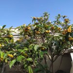 Satılır 3 otaqlı Həyət evi/villa, Fatmayi, Abşeron rayonu 5