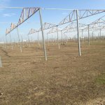 Satılır Torpaq, Novxanı, Abşeron rayonu 5