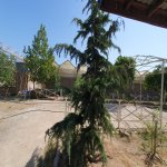 Продажа Объект, Туркян, Хязяр район 40
