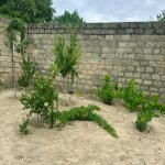 Satılır 3 otaqlı Həyət evi/villa Sumqayıt 11