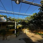 Продажа 4 комнатная Дома/Виллы, Шювалан, Хязяр район 15