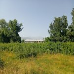 Satılır Torpaq Oğuz 4