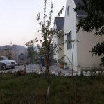 Satılır 4 otaqlı Həyət evi/villa Quba 3