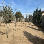 Satılır Torpaq, Şüvəlan, Xəzər rayonu 6