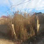 Satılır Torpaq, Saray, Abşeron rayonu 3