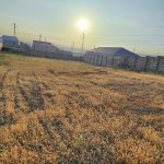 Satılır Torpaq, Qobu, Abşeron rayonu 4