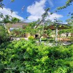 Kirayə (günlük) 2 otaqlı Həyət evi/villa İsmayıllı 16