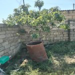 Satılır Torpaq, Fatmayi, Abşeron rayonu 8