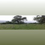 Satılır 5 otaqlı Həyət evi/villa Quba 8