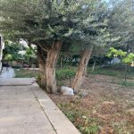 Satılır Torpaq, Maştağa qəs., Sabunçu rayonu 3