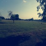 Satılır Torpaq Qəbələ 8