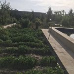 Satılır 3 otaqlı Bağ evi, Türkan, Xəzər rayonu 19