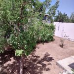 Kirayə (aylıq) 6 otaqlı Bağ evi, Mərdəkan, Xəzər rayonu 18