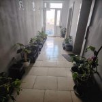 Kirayə (aylıq) 3 otaqlı Yeni Tikili, 20 Yanvar metrosu, 1-ci mikrorayon, Nəsimi rayonu 29