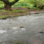 Kirayə (günlük) 3 otaqlı Həyət evi/villa Lerik 16