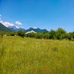 Продажа Участок Гябяля 2