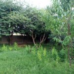 Satılır 2 otaqlı Həyət evi/villa Şəki 3