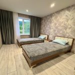 Kirayə (günlük) 5 otaqlı Bağ evi İsmayıllı 4