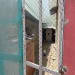 Satılır 3 otaqlı Həyət evi/villa, Hövsan qəs., Suraxanı rayonu 14