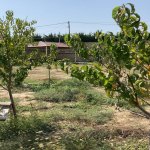 Satılır 2 otaqlı Bağ evi, Goradil, Abşeron rayonu 5