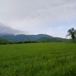Продажа Участок Исмаиллы 15