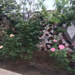 Kirayə (aylıq) 6 otaqlı Bağ evi, Novxanı, Abşeron rayonu 3