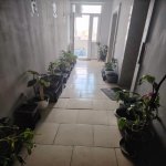 Kirayə (aylıq) 3 otaqlı Yeni Tikili, 20 Yanvar metrosu, 1-ci mikrorayon, Nəsimi rayonu 29