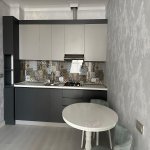 Kirayə (aylıq) 2 otaqlı Yeni Tikili, Nəriman Nərimanov metrosu, Montin qəs., Nərimanov rayonu 22