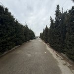 Satılır Torpaq, Şüvəlan, Xəzər rayonu 3