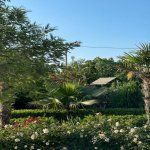 Kirayə (aylıq) 3 otaqlı Bağ evi, Pirşağı qəs., Sabunçu rayonu 25