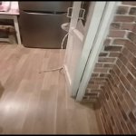 Satılır 1 otaqlı Köhnə Tikili Gəncə 3