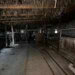 Satılır Torpaq, Novxanı, Abşeron rayonu 9