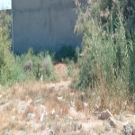 Satılır Torpaq, Məhəmmədli, Abşeron rayonu 5