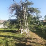 Satılır Torpaq İsmayıllı 9